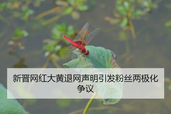 xin-jin-wang-hong-da-huang-tui-wang-sheng-ming-yin-fa-fen-si-liang-ji-hua-zheng-yi-2-888.jpg
