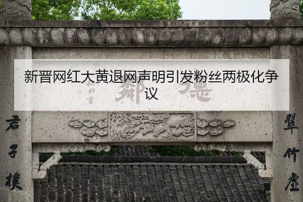 新晋网红大黄退网声明引发粉丝两极化争议